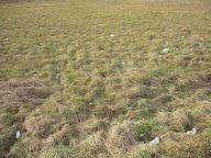 Vendita Terreno Agricolo Capannori