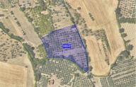 Vendita Terreno Agricolo Perugia