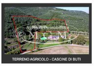 vendita terreno agricolo Buti