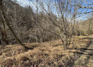 Vendita Terreno Agricolo Cassina Valsassina