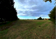 Vendita Terreno Agricolo Candiana