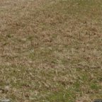 vendita terreno residenziale Casciana Terme Lari