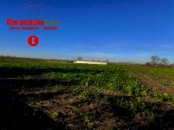 Vendita Terreno Agricolo Nola