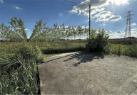 Vendita Terreno Agricolo Mogliano Veneto