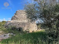 vendita terreno agricolo Alessano