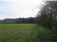 Vendita Terreno Agricolo Sasso Marconi