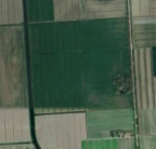 Vendita Terreno Edificabile Ferrara