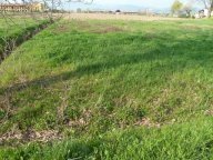 Vendita Terreno Edificabile Porcari