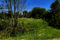Vendita Terreno Agricolo Megliadino San Vitale