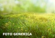 vendita terreno agricolo Pisa