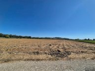 vendita terreno agricolo Fucecchio