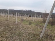 vendita terreno agricolo Villafranca in Lunigiana