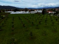 vendita terreno agricolo Luni