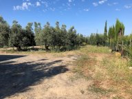 vendita terreno residenziale Cecina