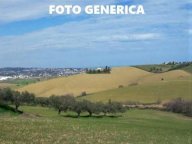vendita terreno agricolo San Miniato