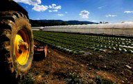 vendita terreno agricolo Cascina