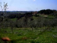 vendita terreno agricolo San Miniato