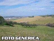 vendita terreno agricolo Vecchiano