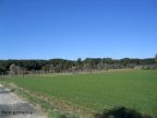 vendita terreno residenziale Terricciola