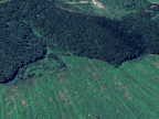 vendita terreno agricolo San Miniato
