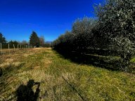 vendita terreno agricolo Capannori