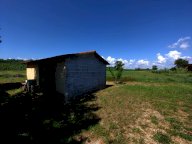 vendita terreno agricolo Collesalvetti