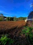 vendita terreno agricolo Palaia