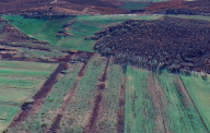 vendita terreno agricolo Cerreto Guidi
