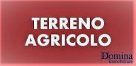 vendita terreno agricolo Massa