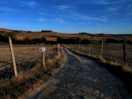 vendita terreno agricolo Castellina in Chianti