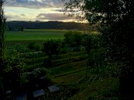 vendita terreno agricolo Poggibonsi