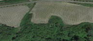 vendita terreno agricolo San Miniato