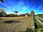vendita terreno agricolo Massa