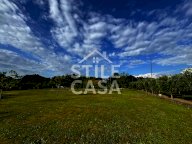 vendita terreno agricolo Castelfranco di Sotto