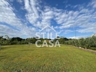 vendita terreno agricolo Castelfranco di Sotto