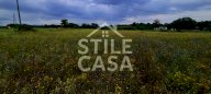vendita terreno agricolo Castelfranco di Sotto