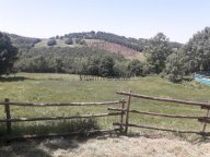 vendita terreno agricolo Roccalbegna