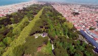 vendita terreno agricolo Viareggio
