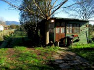 vendita terreno agricolo Cascina
