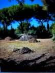 vendita terreno agricolo Piombino