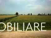 vendita terreno agricolo Vecchiano