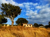 vendita terreno agricolo Roccalbegna