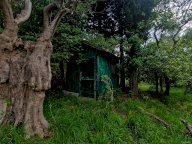 vendita terreno agricolo Luni