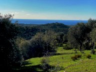 vendita terreno agricolo Piombino