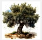 vendita terreno agricolo Calci