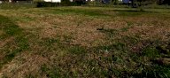 vendita terreno residenziale San Giuliano Terme