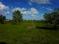 vendita terreno agricolo San Giuliano Terme