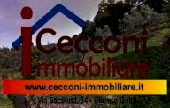 vendita terreno agricolo Vinci