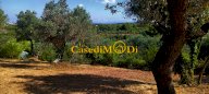 vendita terreno agricolo Livorno