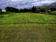 vendita terreno agricolo Montignoso